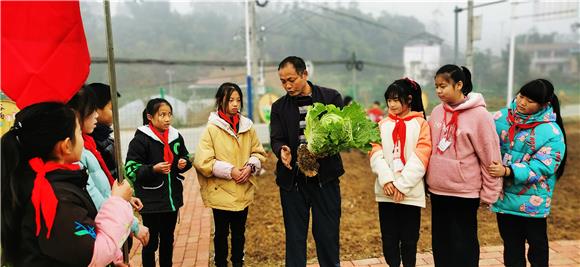 农技人员讲解蔬菜生长过程。通讯员 赵武强 摄