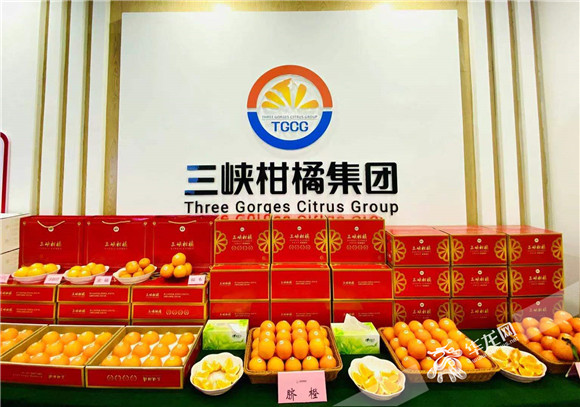“三峽柑橘”全市全域公共品牌产品。华龙网-新重庆客户端记者 曹建 摄