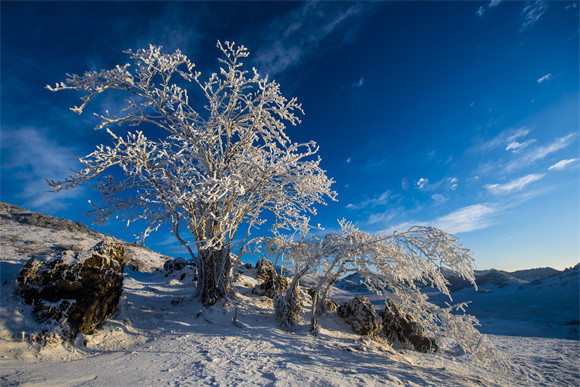 蓝天下的雪景美如画。巫溪县融媒体中心供图