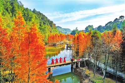 图为2021年12月13日，游客在青山湖国家湿地公园游玩。通讯员 曹永龙 摄