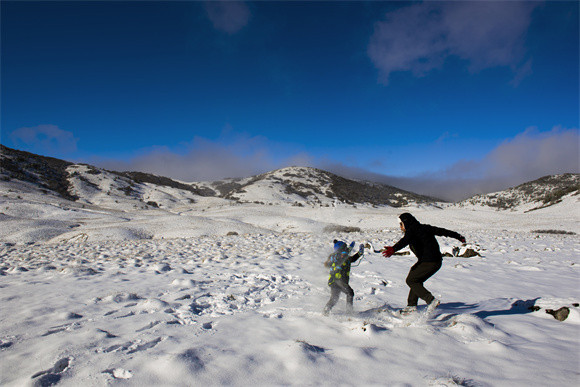 游客在雪地里戏雪。乔梁 摄