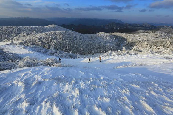 2石柱雪景。石柱农旅集团供图 华龙网发