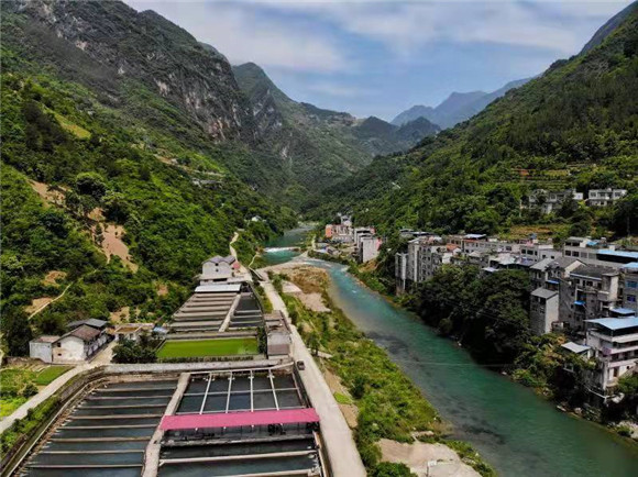 大河乡红光村金丰泰专业合作社的中华鲟养殖基地。大河乡供图 华龙网发_副本