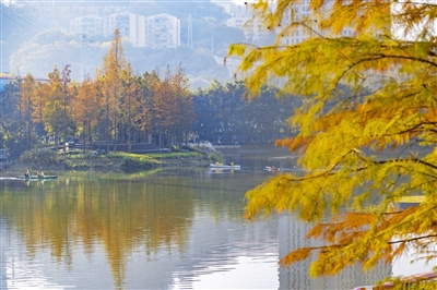 秋冬时节游湖，别有一番风味。