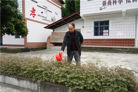 付华胜为路边植物浇水。通讯员  王阳 摄
