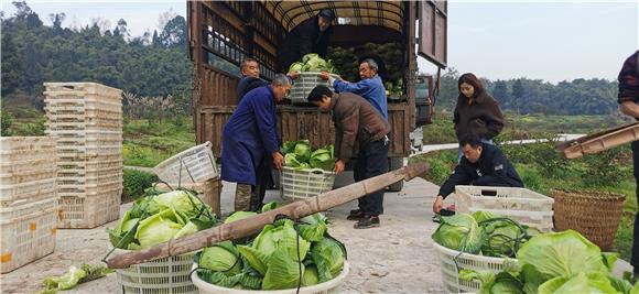 2村民将蔬菜搬运上车。特约通讯员 赵武强 摄