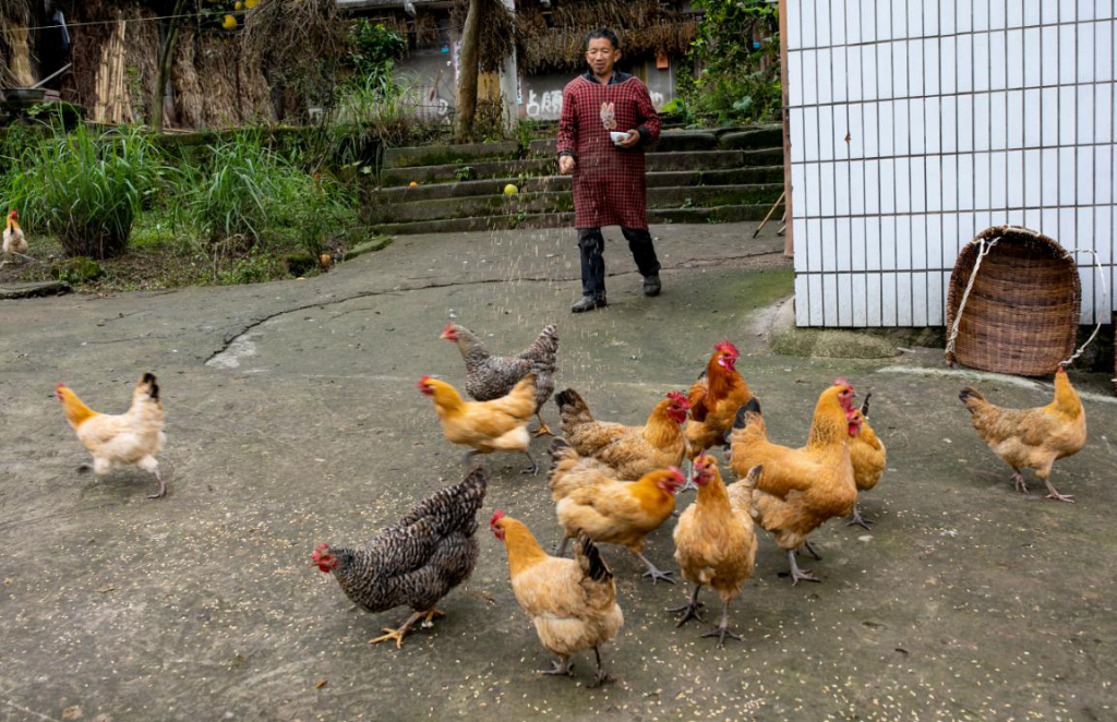 图片2