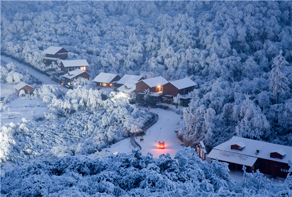 南川金佛山雪景。南川文化旅游委供图 华龙网发