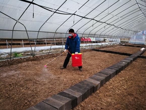 农资集团农化服务队指导农户土壤消杀。重庆市供销合作总社供图 华龙网发