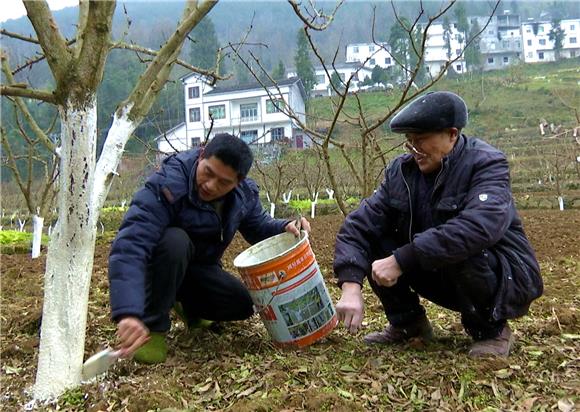 李吉牛一边刷白一边为村民讲解冬管技巧。（左一）通讯员 刘雷 摄