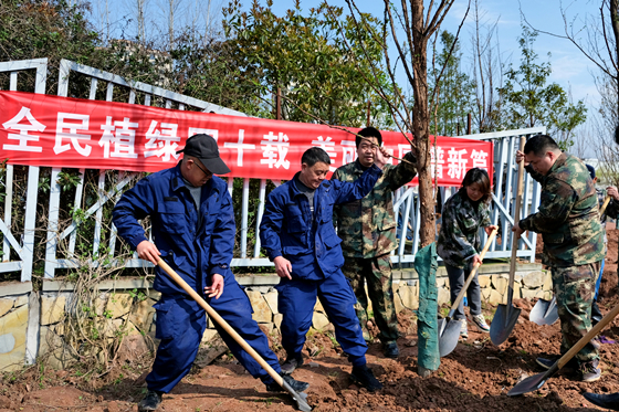 干部群众正组队植树。通讯员 石楚园 摄