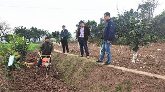 农技人员现场指导农民使用农机耕地。通讯员 李达元 摄