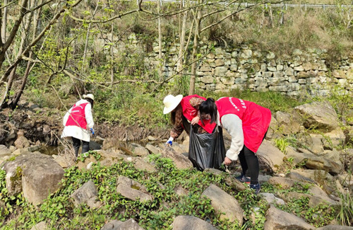 万朝镇志愿者在清理河道垃圾杂物。通讯员 侯玉枢 摄2