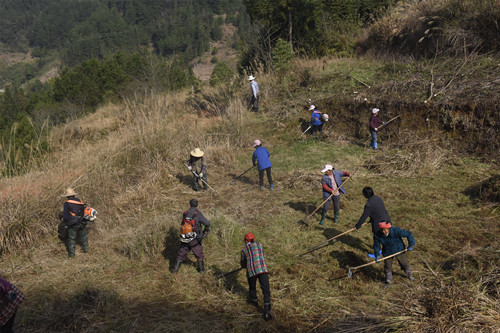务工村民在清理撂荒田杂草。特约通讯员 隆太良 摄