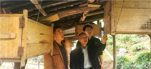 合作社指导蜂农科学养蜂。特约通讯员 赵武强 摄