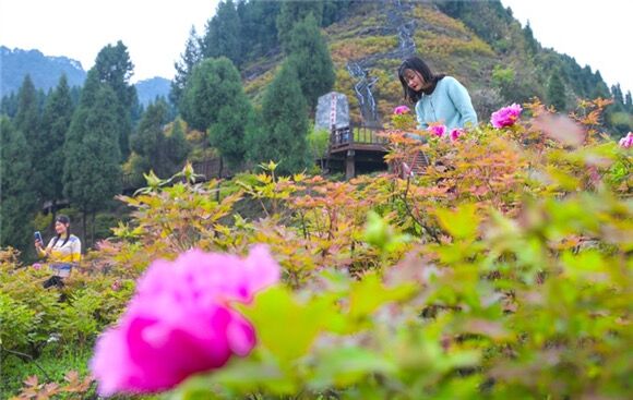 游客正在恺之峰旅游区牡丹园赏花拍照。通讯员 龚长浩 摄