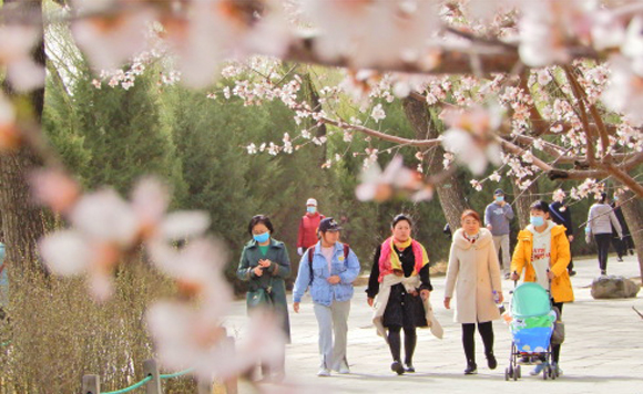 3月22日，游人在颐和园赏花休闲。新华社记者-李欣-摄