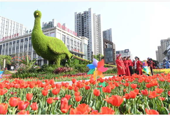 3月24日，市民在重庆市巴南区龙洲湾商街赏花观光。新华社记者 唐奕 摄2