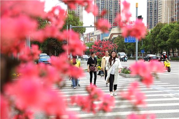 行人走在渝南大道传媒中心路口，一路鲜花相伴。通讯员 袁治卫 摄