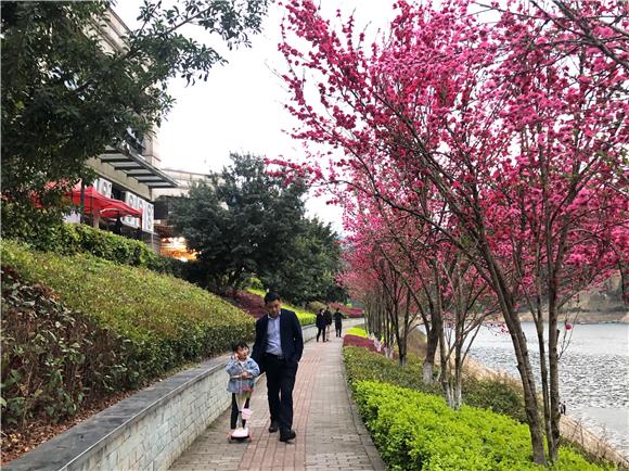 市民在滨河公园散步。通讯员 谢模燕 摄 5市民在滨河公园散步。通讯员 谢模燕 摄