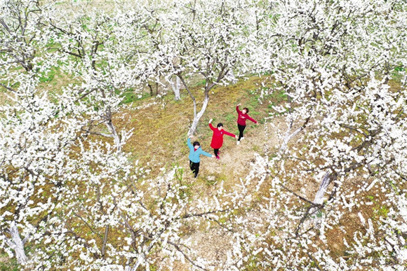 游客在小南海镇大路坝社区踏青赏花。通讯员 杨敏 摄