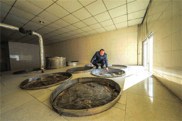 1近日，工人在检查发酵缸内豆豉的发酵情况。通讯员 熊伟 摄