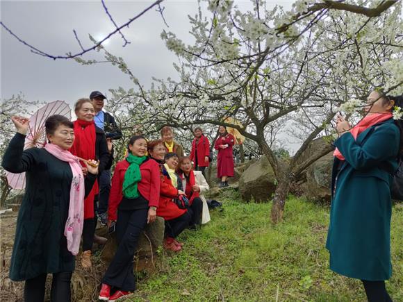 1女性游客们在李花林中愉快地拍照留念。特约通讯员 谢凤 摄