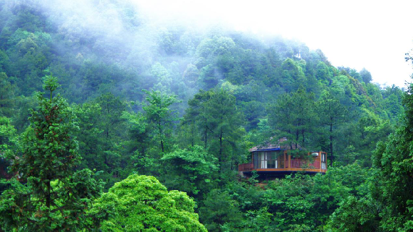 森林树屋。五华山旅游区供图 华龙网发