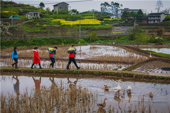 青年志愿者扛着肥料送往村民家中。通讯员 陈星宇 摄
