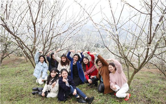 游客倘徉花海里赏花、拍照。特约通讯员 陈仕川 摄
