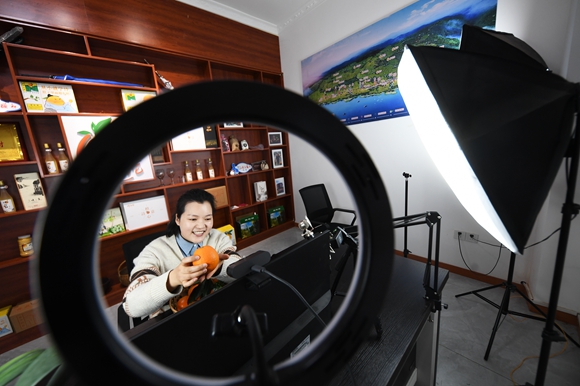 工作人员在安坪镇三沱村电商直播间推介脐橙产品。