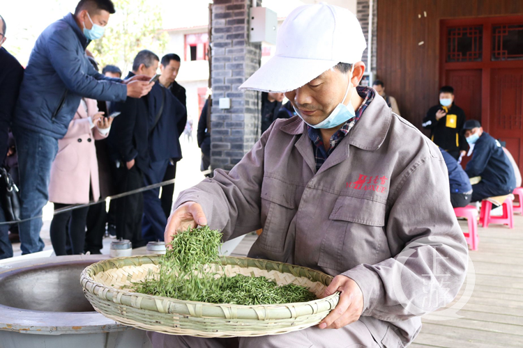 选手们用传统工艺手工制茶