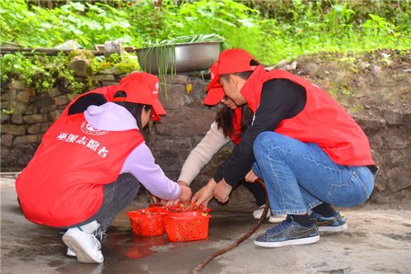 志愿者们为老人们洗草莓。通讯员 王云肖 摄