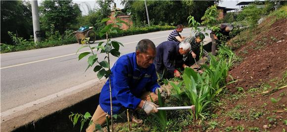 村民在公路边栽植花草。特约通讯员 赵武强 摄