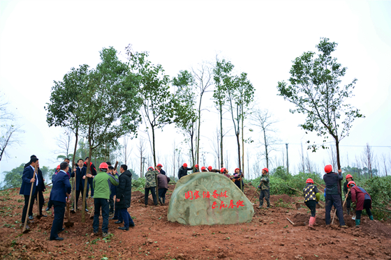 国家储备林项目示范基地，正在开始种树。特约通讯员 张常伟 摄