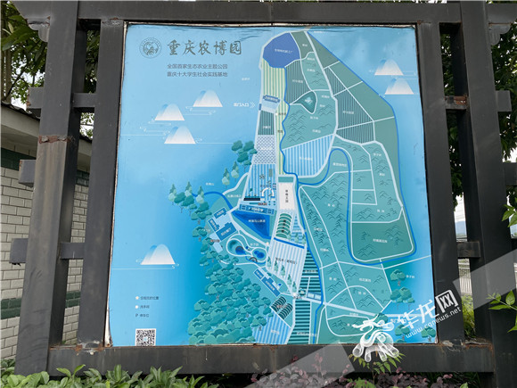 重庆农博园导览图。华龙网-新重庆客户记者 李黎 摄