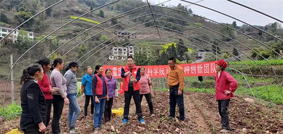 重庆三峡农业科学院甘薯创新团队负责人、三峡农科院研究员张兴端为农户做技术指导。  通讯员 吴 珺 摄