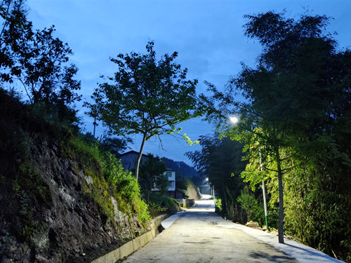 太阳能路灯照亮长沟村夜间公路。特约通讯员　隆太良 摄