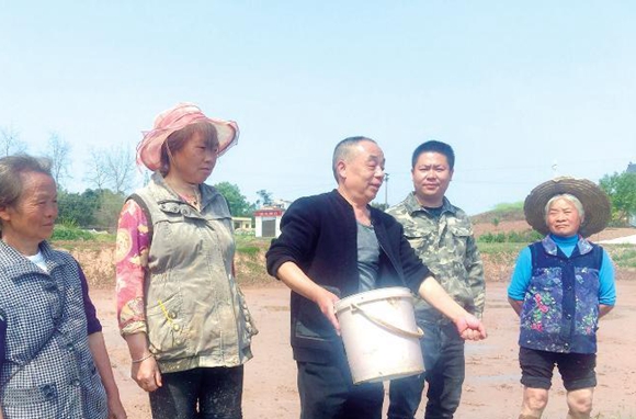 农技人员为村民指导水稻直播技术。通讯员 吕华 摄