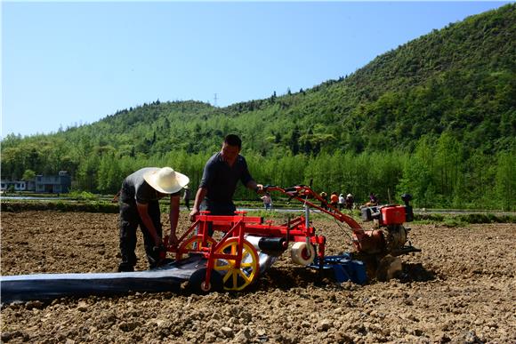 1村民利用机器进行农事耕作。通讯员 储潇 摄