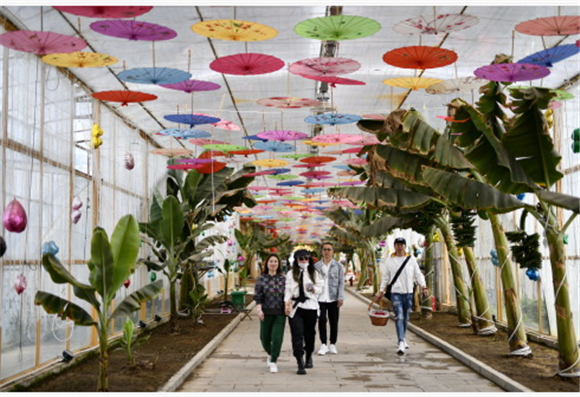 5月11日，游客在唐山市丰润区西那母生态旅游度假村内游览。新华社记者 牟宇 摄
