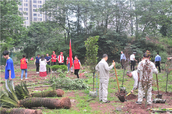 党建共育林里种下铁树、苏樱等绿植。通讯员 裴梓臣 摄