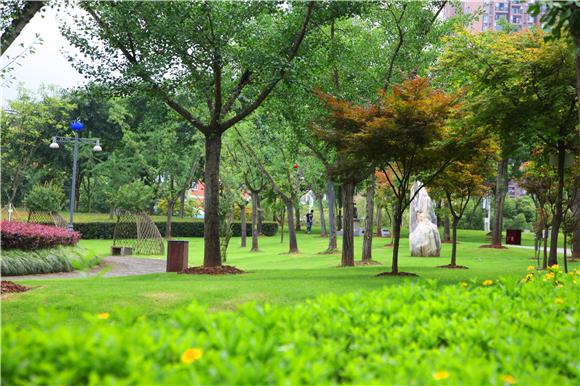 铜梁区公园里的鲜花绿树。通讯员 陈刚 摄1