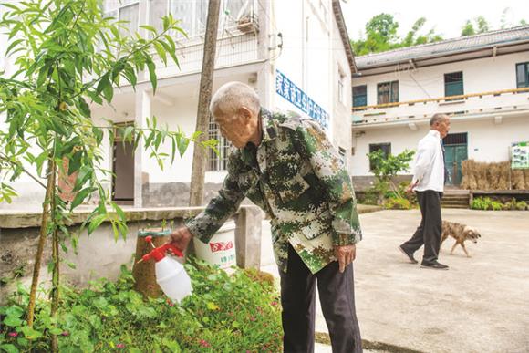 院落生活惬意自在。通讯员 侯本艳 摄