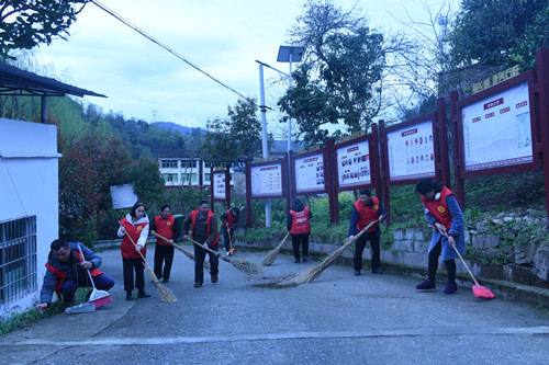 村组干部、共产党员开展志愿服务活动。特约通讯员 隆太良 摄
