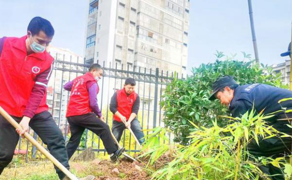 志愿者参与小区绿化建设。通讯员 徐旭 摄