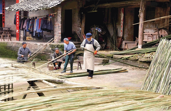 村民正在把竹子劈成编织蔑器的竹片。通讯员 向成国 摄