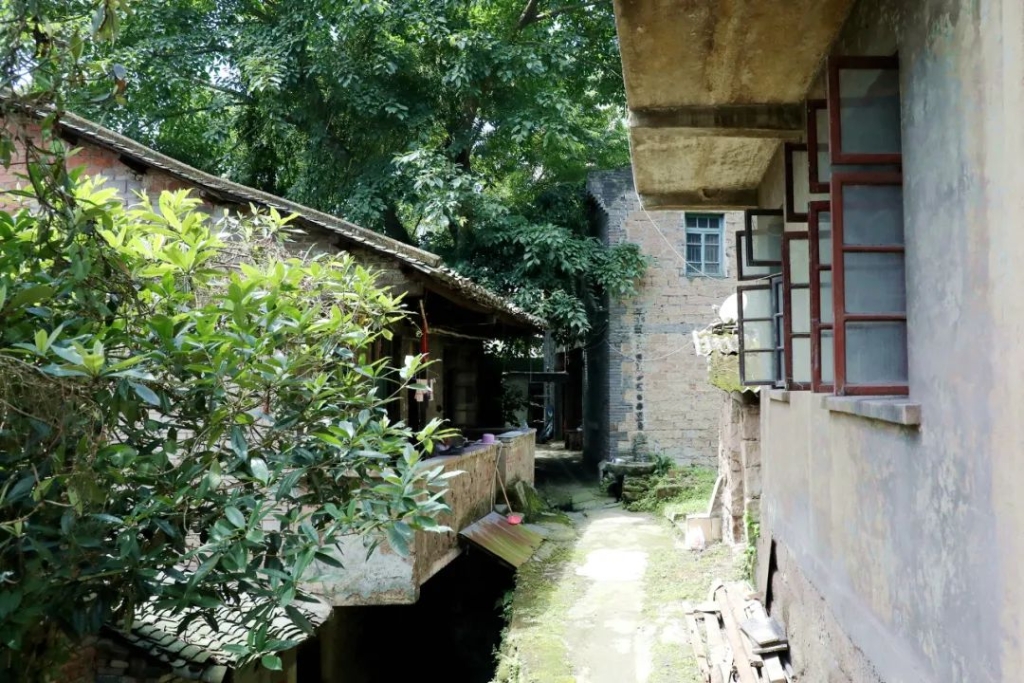 image009