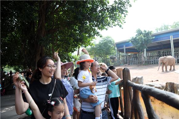 游客和小孩向大象投食包好的粽子。