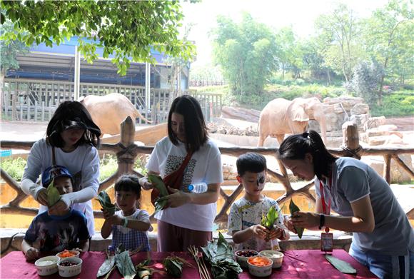 6月12日，游客和小孩现场为大象宝宝包粽子。